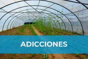 SJD-ADICCIONES